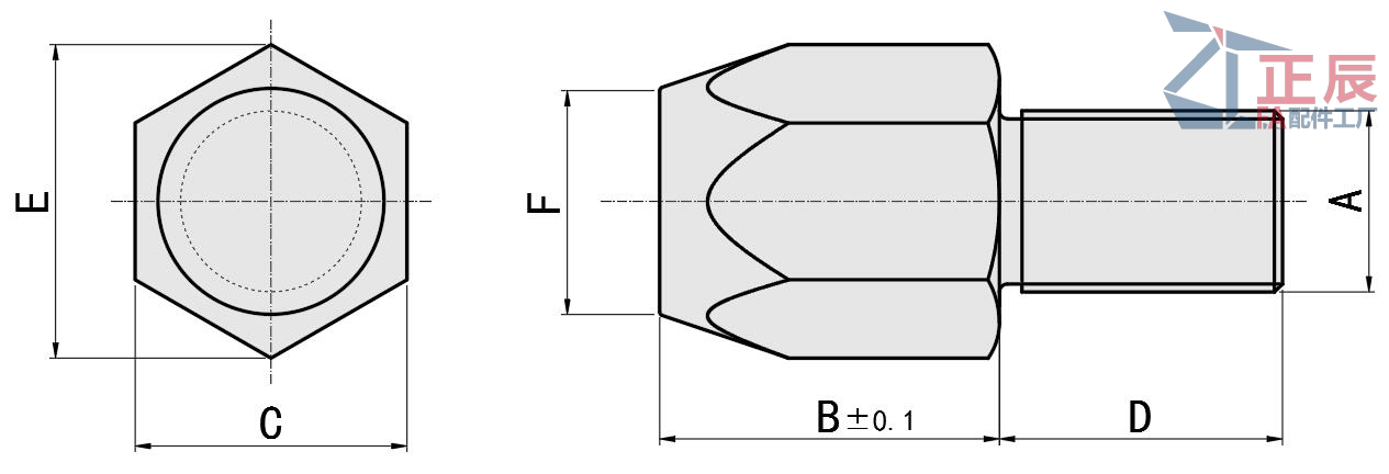 Pies Extremo plano Tornillo de sujeción ZT45