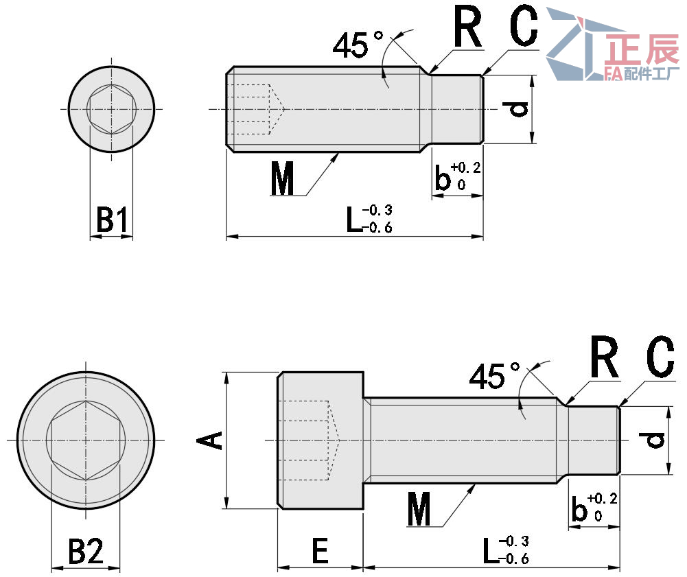 Tornillo de fijación hexagonal con punta de perro de acero inoxidable 304 M4 - M10 grueso MSSG