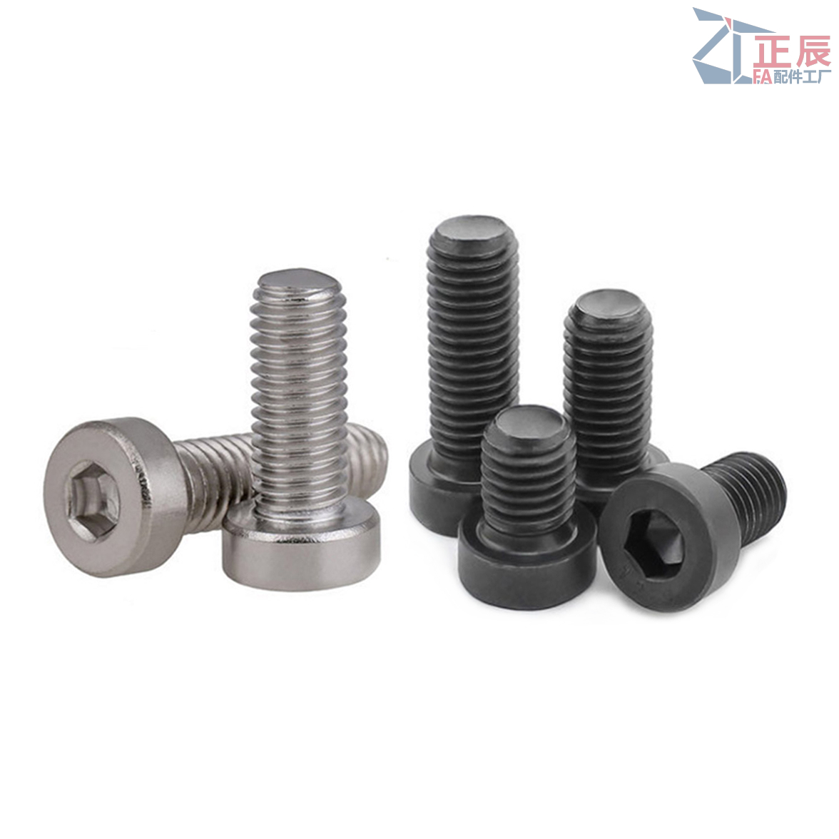 Tornillo de cabeza hueca hexagonal de perfil bajo M2 M12 CBS CBSST