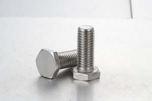 Sujeciones de tornillo de cabeza hexagonal de perfil extra bajo de acero inoxidable 304 RSCBT4 M8