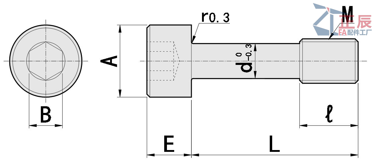 Tornillos cautivos de acero inoxidable Tapa con cabeza hueca hexagonal Longitud configurable GUTB