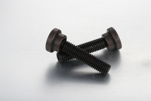 Juegos de tornillos prisioneros con punto de empuje SGTS SGTP